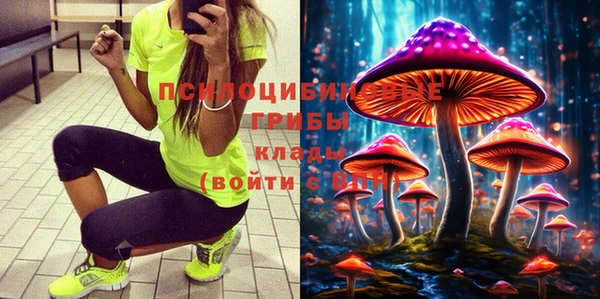 эйфоретик Богданович
