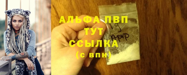эйфоретик Богданович