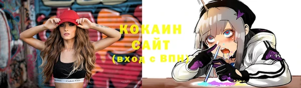 эйфоретик Богданович