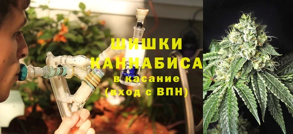 эйфоретик Богданович
