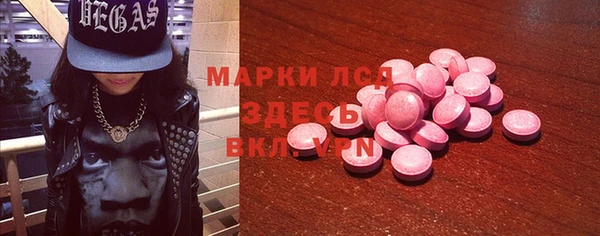 шишки Тында