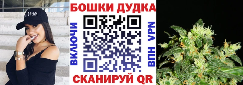 Купить где Карасук Каннабис MAZAR